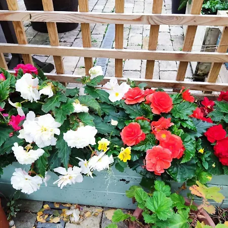 Self-contained In The Heart Of With Parking Исингволд