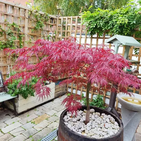 Self-contained In The Heart Of With Parking * Исингволд